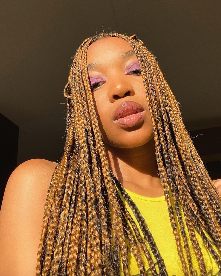 Dangers of Overdue Box Braids Risks & Hair Damage