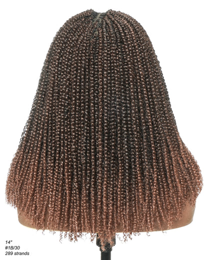 Pona - 14" Micro Passion Twist HD Full Lace Braided Wig