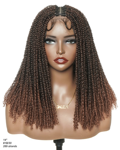 Pona - 14" Micro Passion Twist HD Full Lace Braided Wig