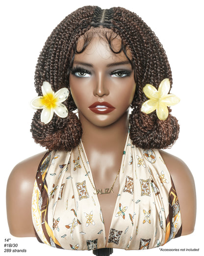 Pona - 14" Micro Passion Twist HD Full Lace Braided Wig